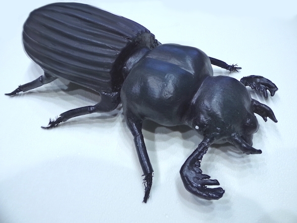 accessoire-spectacle-scarabe-noir